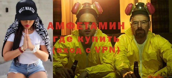 сатива Алзамай
