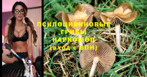 дурь Покров